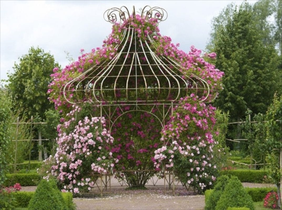 Charming Pavilion with Blooms