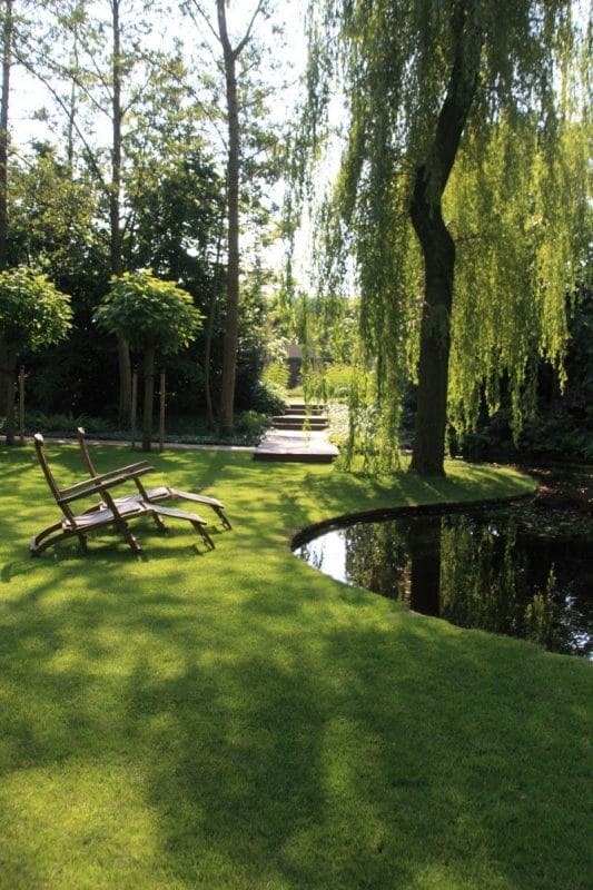Landscaping Ideas for Wet Backyard with White Willow Tree