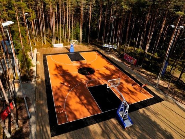 Nature-Inspired Basketball Court