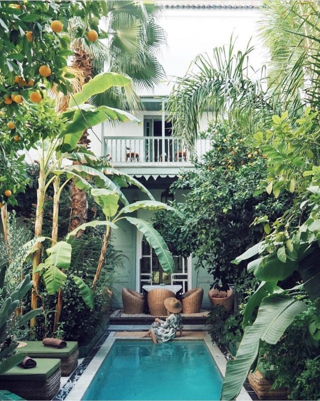 Water Feature with Abundant Greeneries