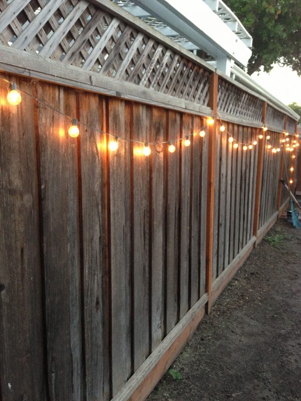 landscaping along a fence ideas