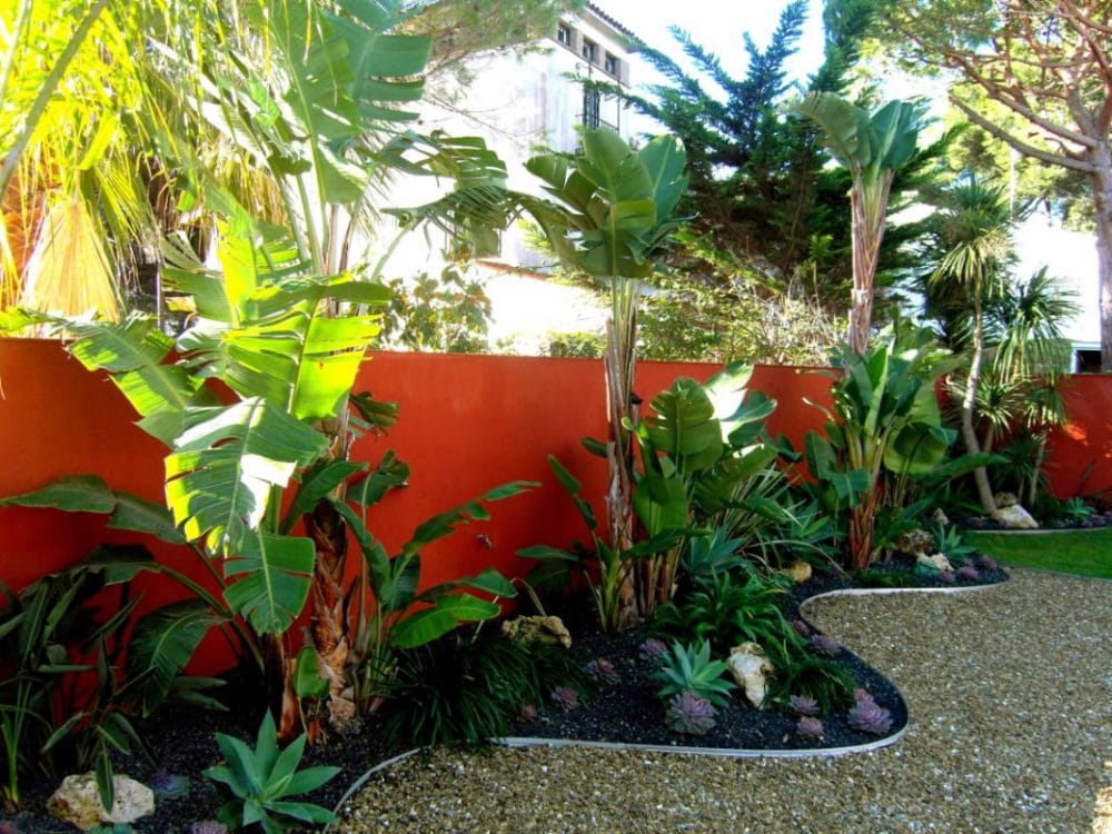 tropical backyard patio ideas