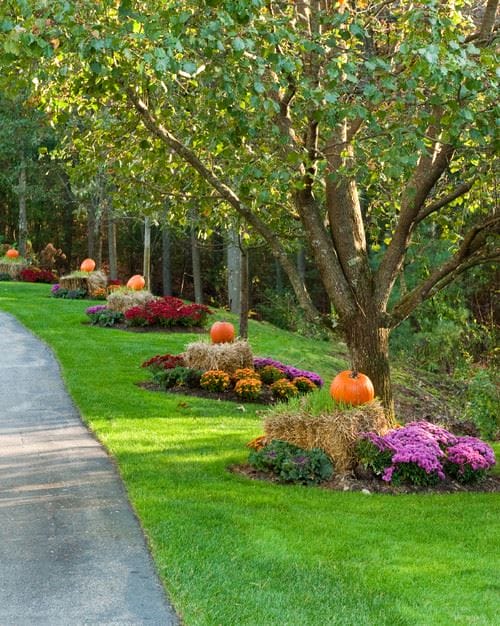 fall outdoor landscaping ideas