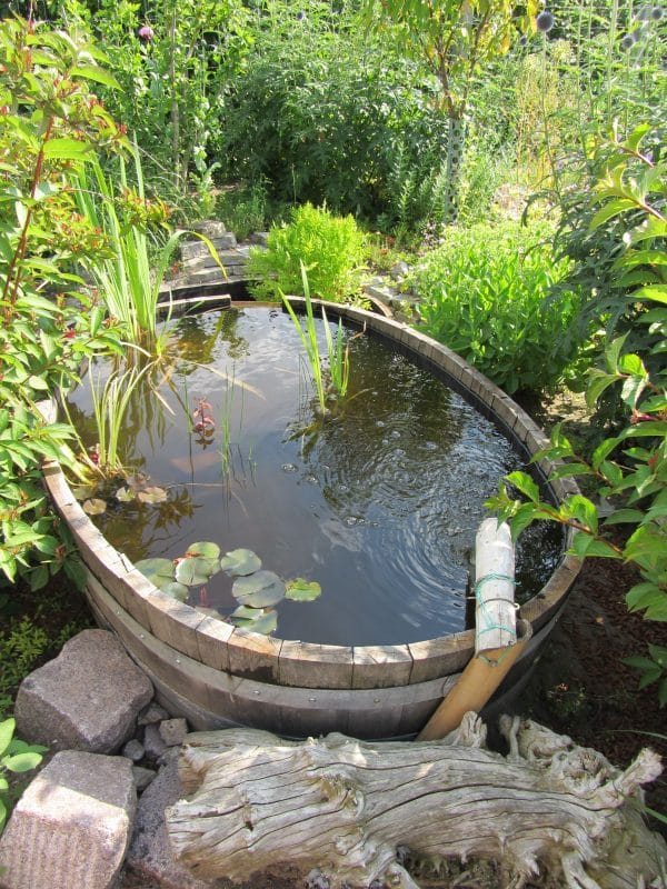 Backyard Koi Pond from Soaking Tub