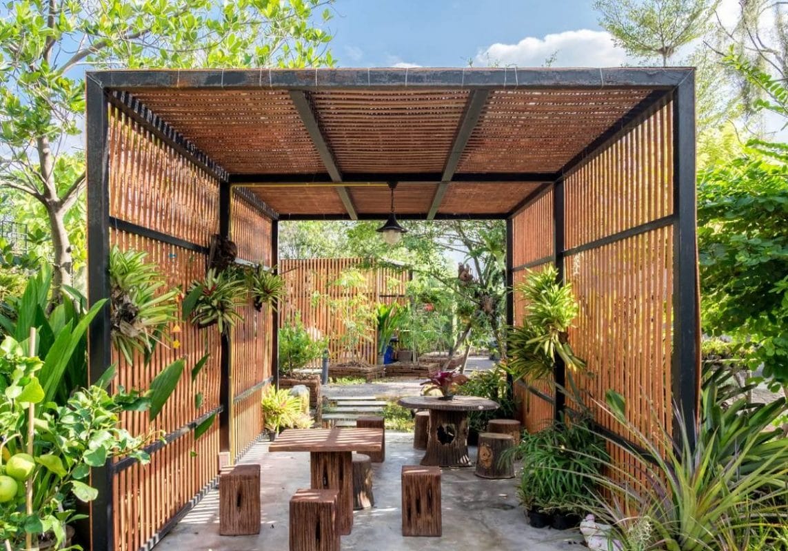 tropical plants modern for your backyard