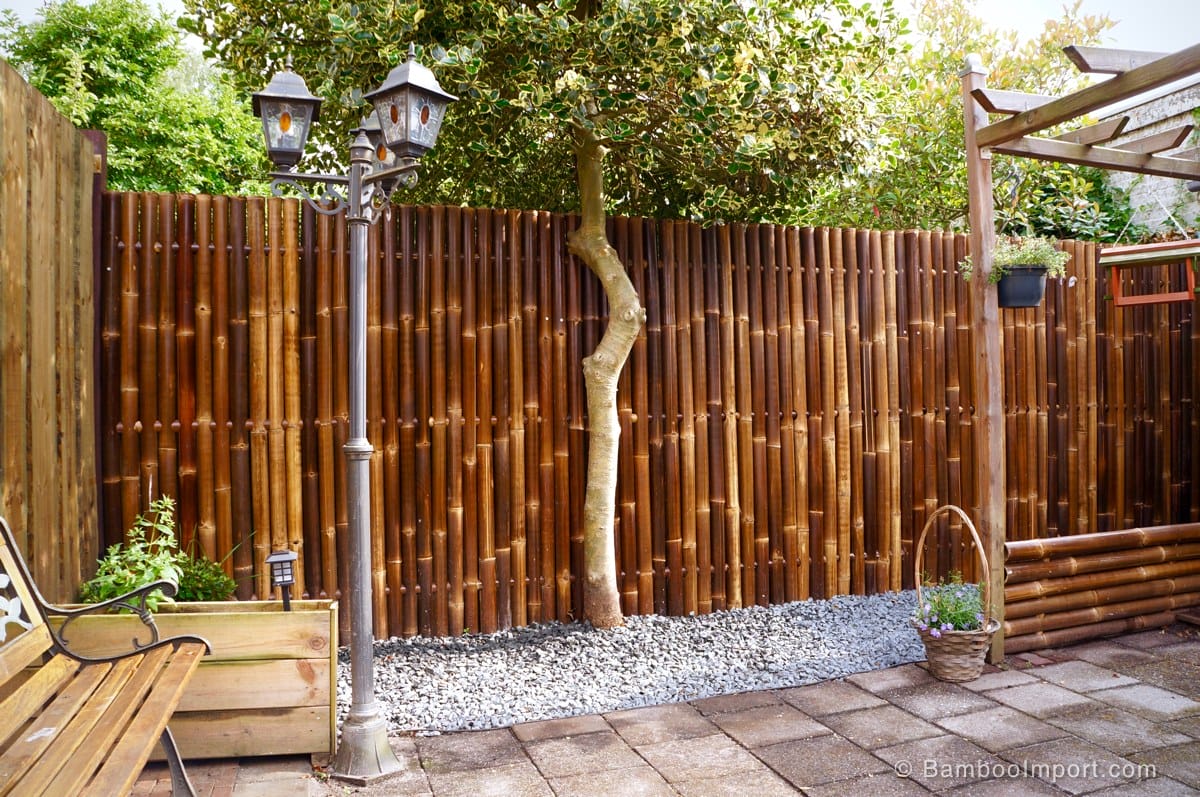 Bamboo Fence Ideas