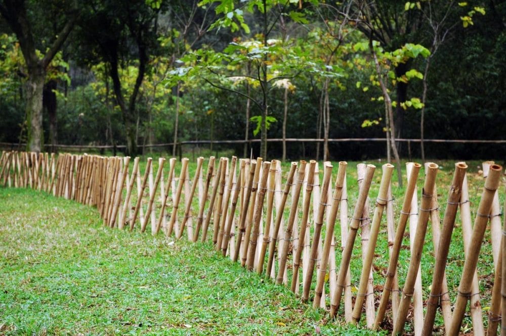 bamboo garden fence on budget