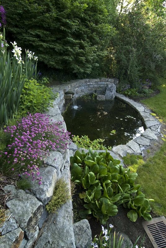 DIY Backyard Koi Pond under Garden