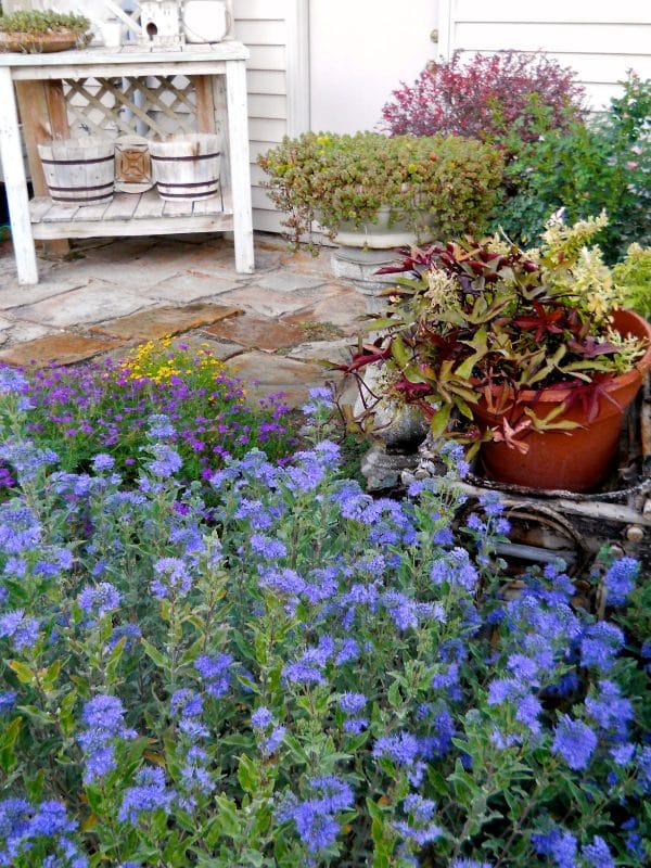 Fascinating Blue Mist