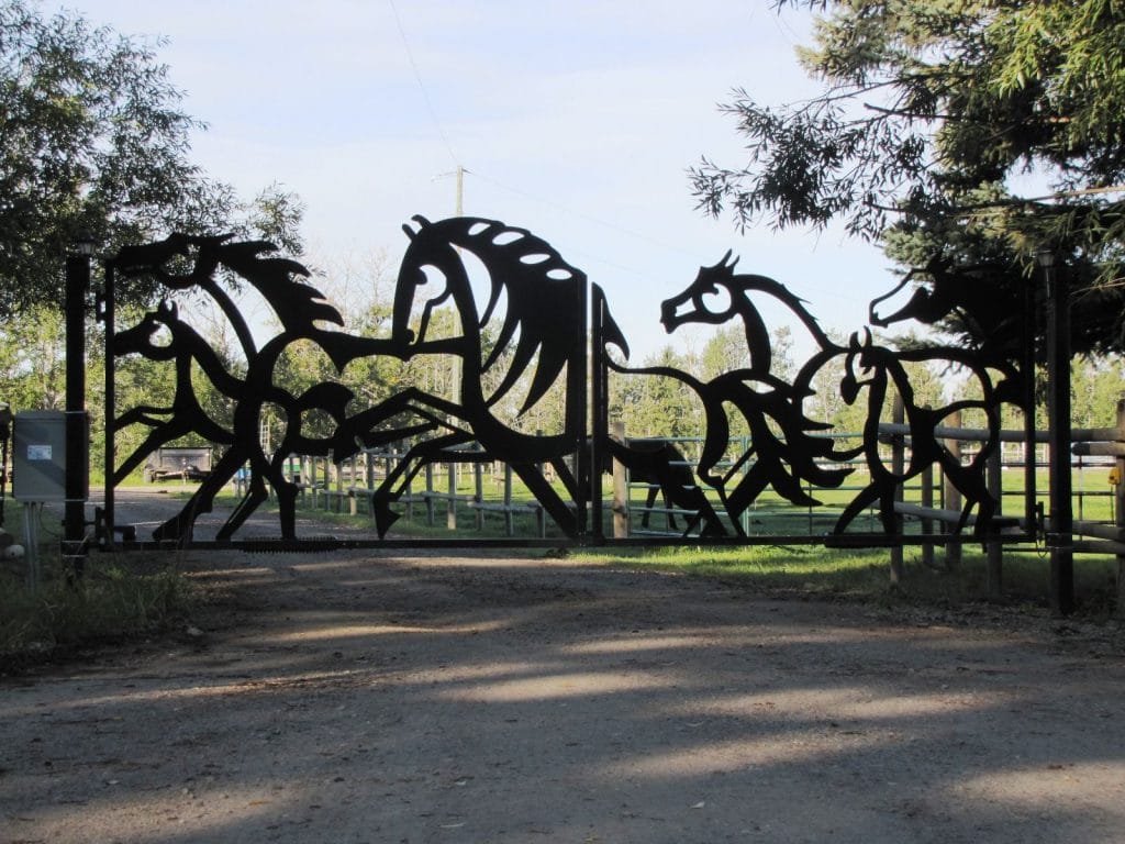 the decorative horse fence locked the decorative horse fence locked