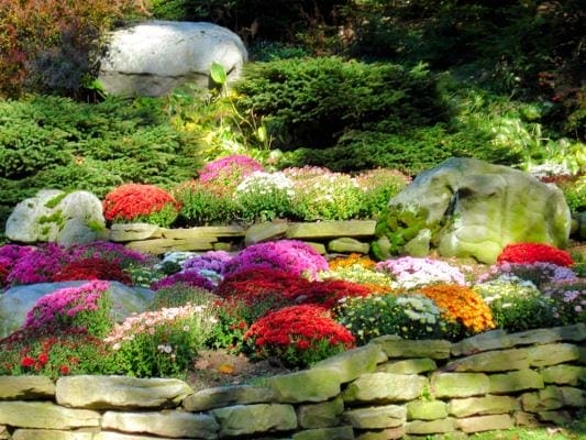 simple fall Rainbow ideas simple fall Rainbow ideas