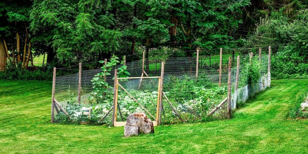 temporary vinyl fence gate plant