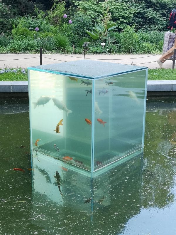 Fish in Tower Fish in Tower