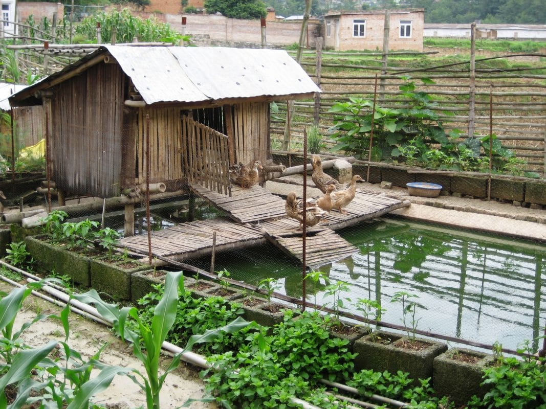 Floating House Floating House