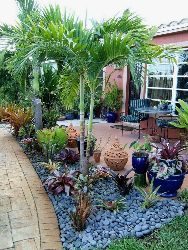 best tropical backyards low maintenance