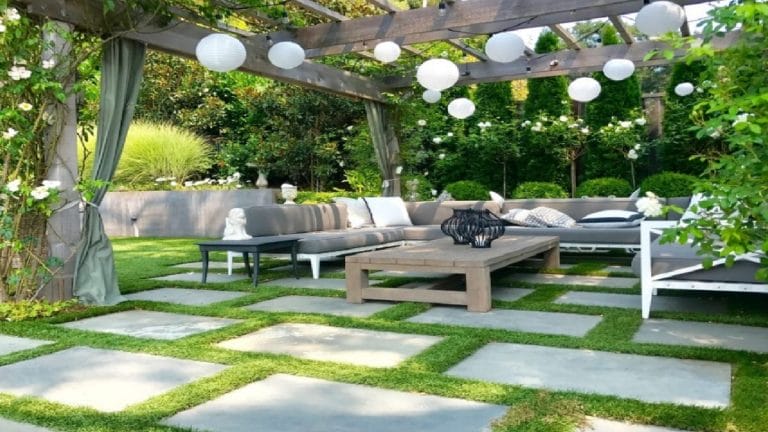 Modern Backyard Ideas