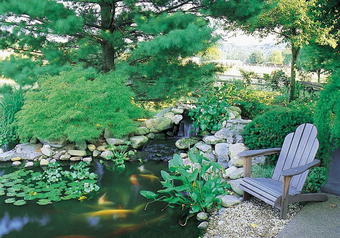 Natural River for Backyard Koi Pond Natural River for Backyard Koi Pond
