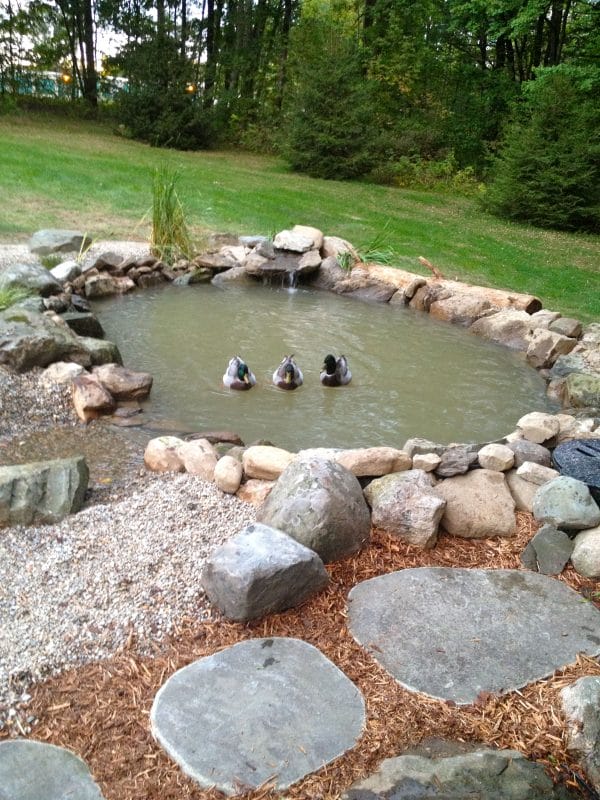 Natural Rocks Pond