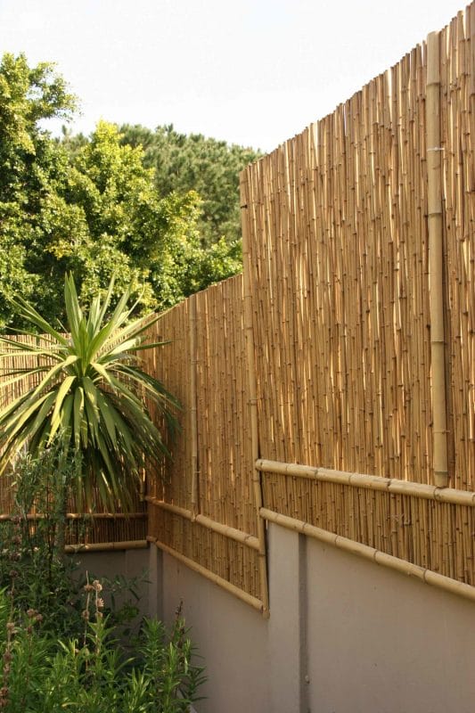 bamboo fence panels home depot