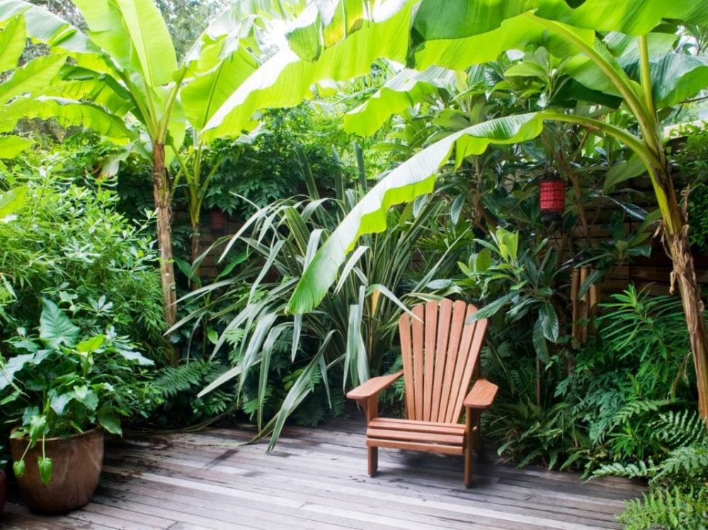 tropical backyards melbourne