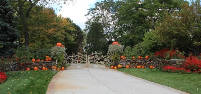 fall pumpkin decor