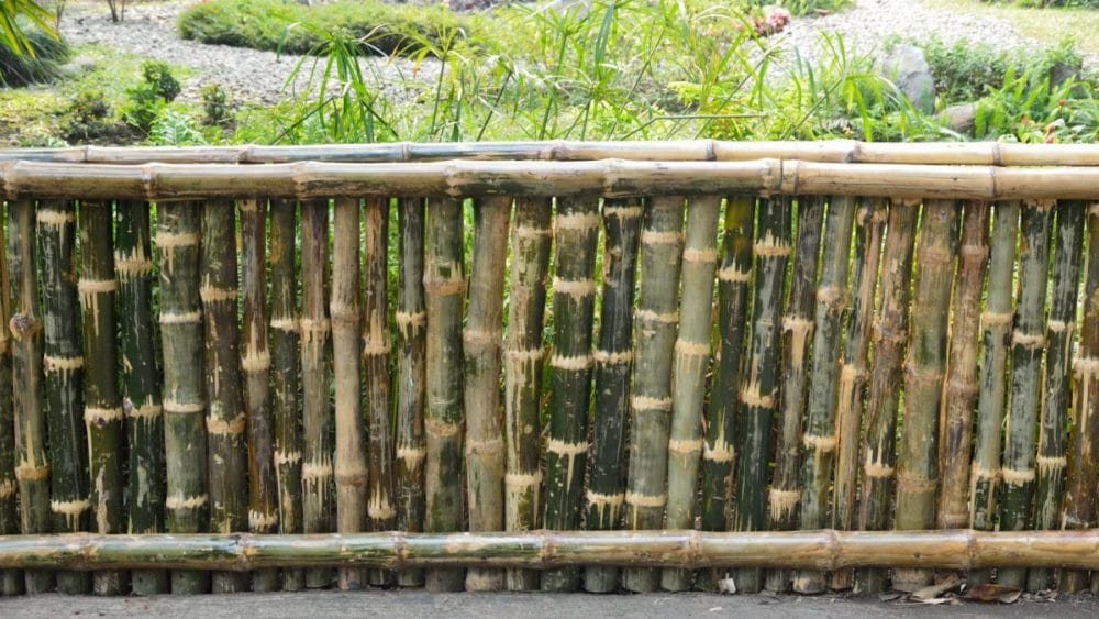 bamboo fences home depot