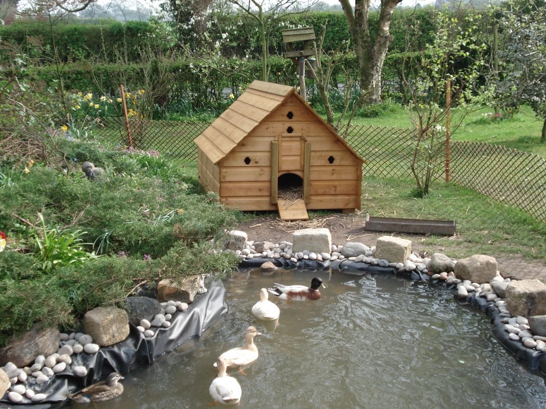 Simple DIY Backyard Duck Pond Simple DIY Backyard Duck Pond
