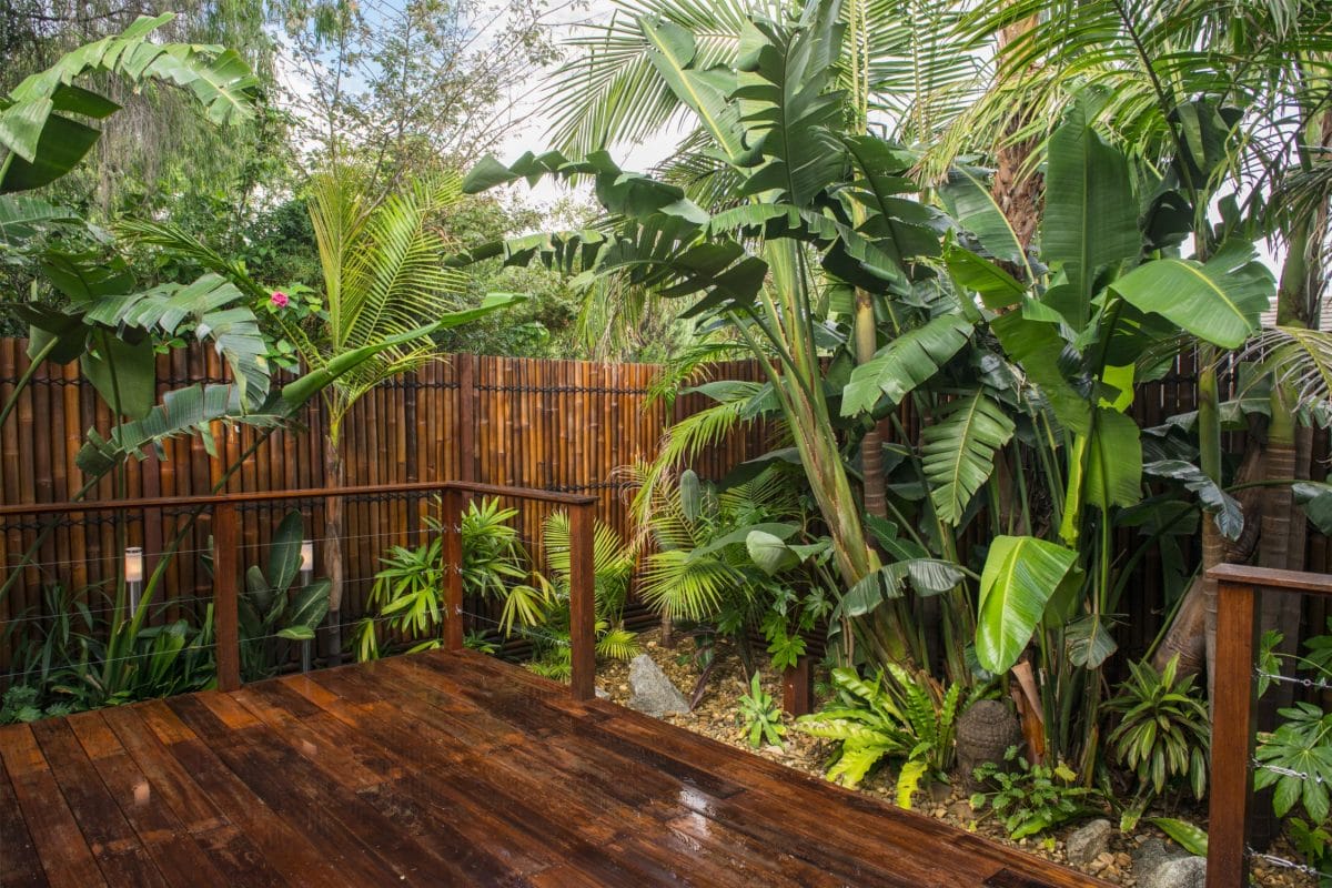 tropical backyard landscape designs tropical backyard landscape designs