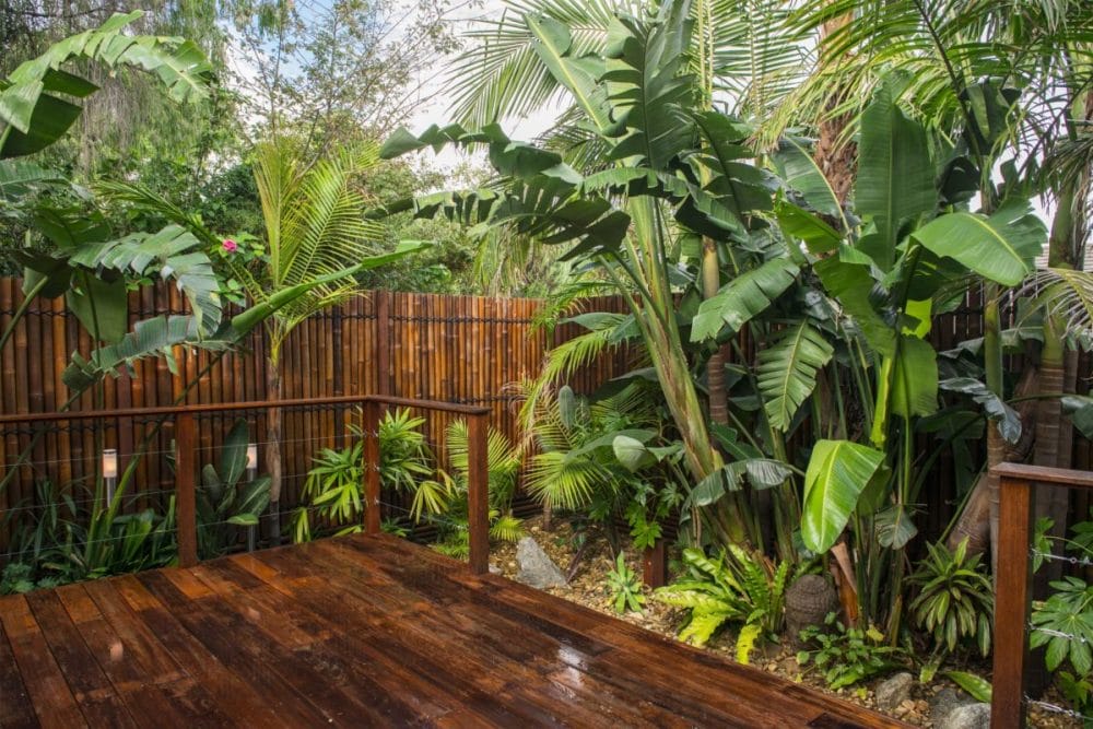 tropical backyard landscape designs