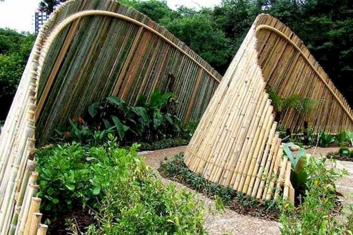 bamboo fence sydney style