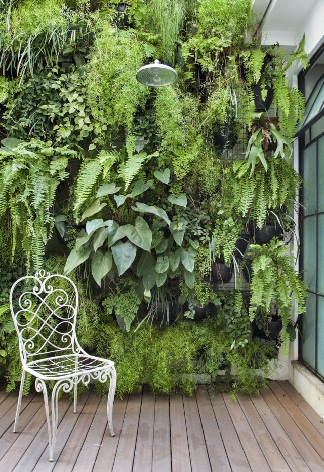 green wall deck garden