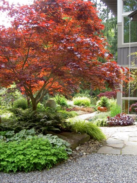 Color-Changing fall landscaping ideas front yard