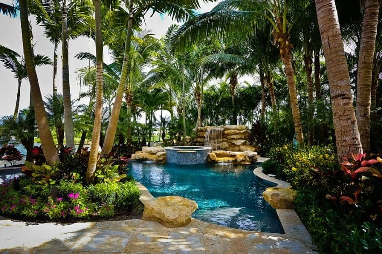 Tropical Backyard Ideas