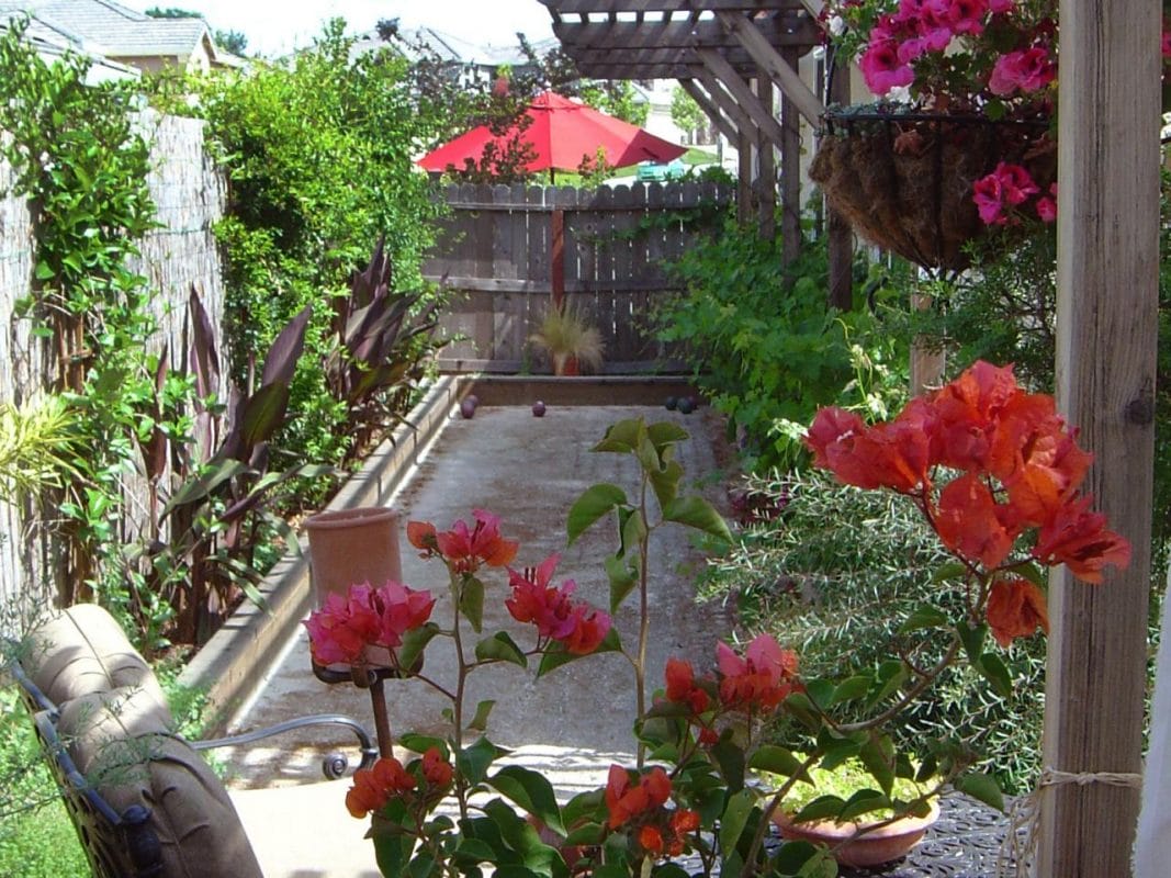 tropical backyard trees tropical backyard trees