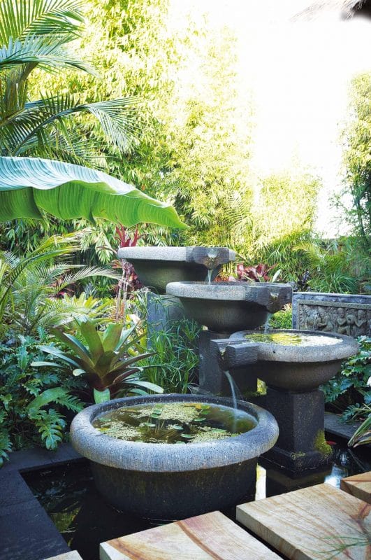 tropical garden idea