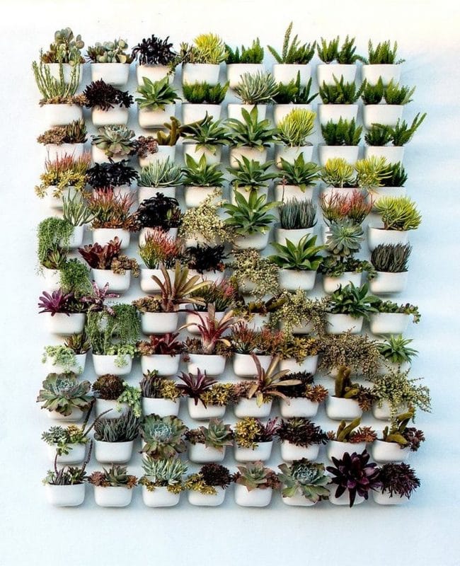 wall garden ideas