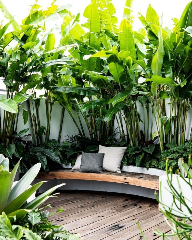 tropical garden idea