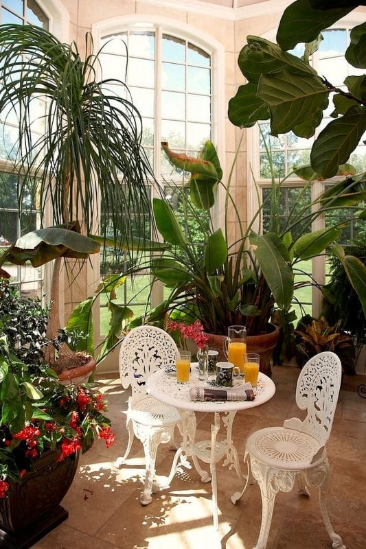 Tropical garden idea
