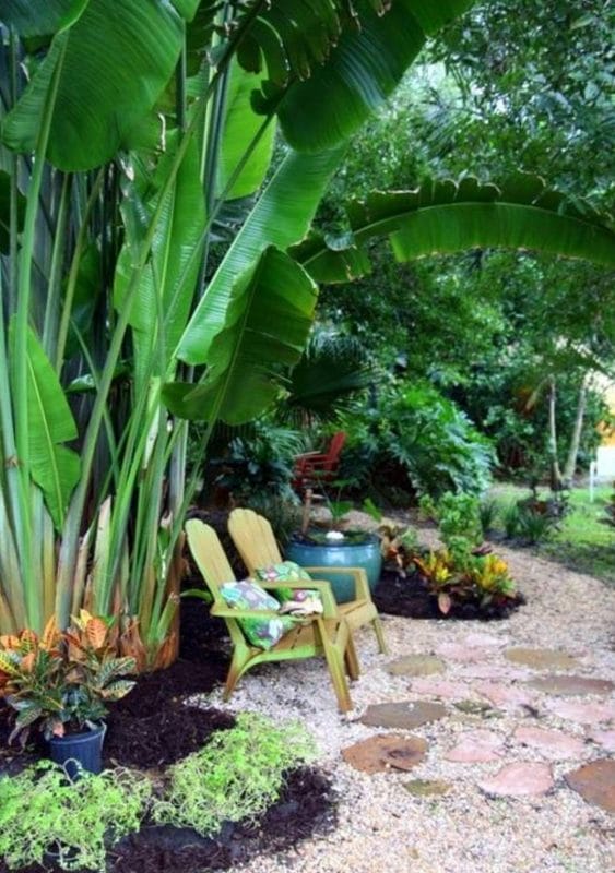 tropical backyards creations