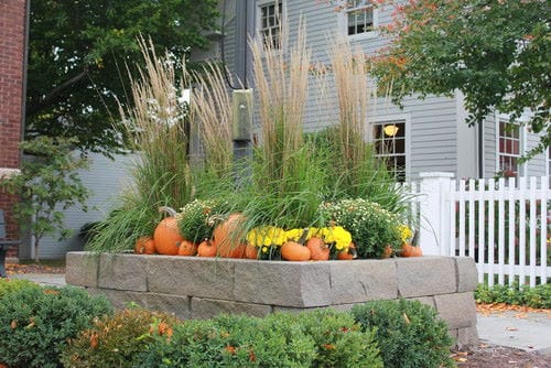 Raised Bed fall landscape