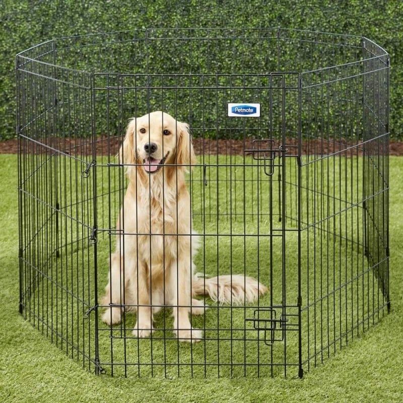 temporary fencing hire cost for dog