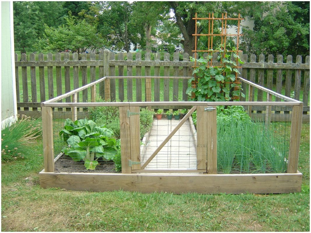 temporary fencing hunter valley