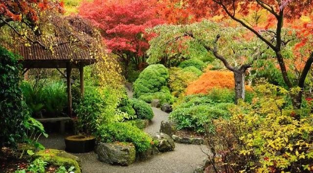 fall/winter japan ideas fall/winter landscaping ideas