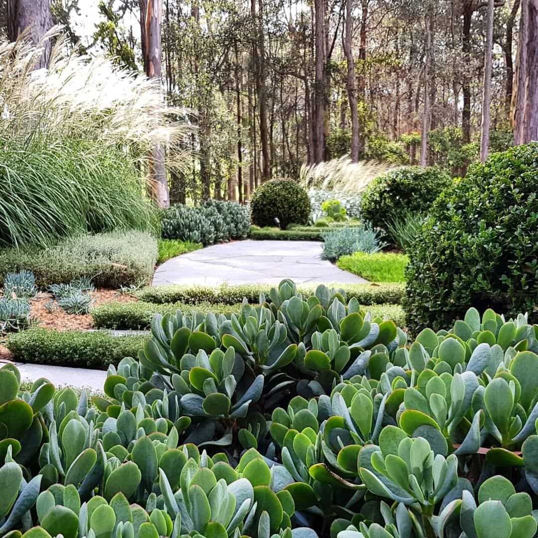 Get Plenty of Shrubs