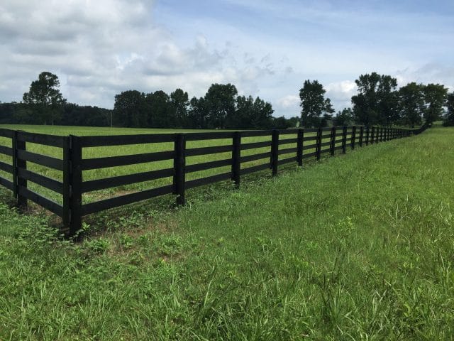 black horse fence stain
