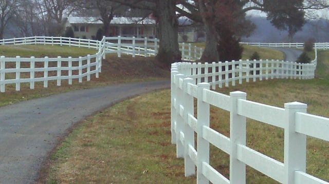 the white picket fence