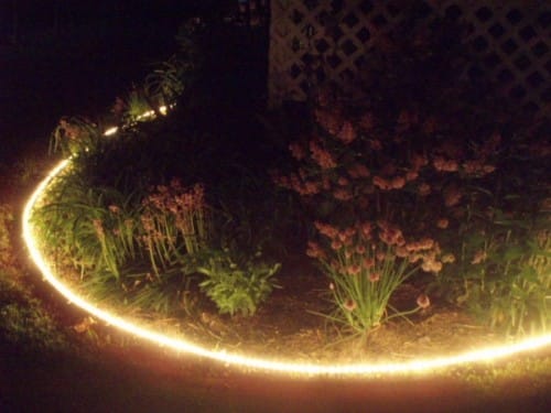 Surround your Lovely Garden with Rope Lights