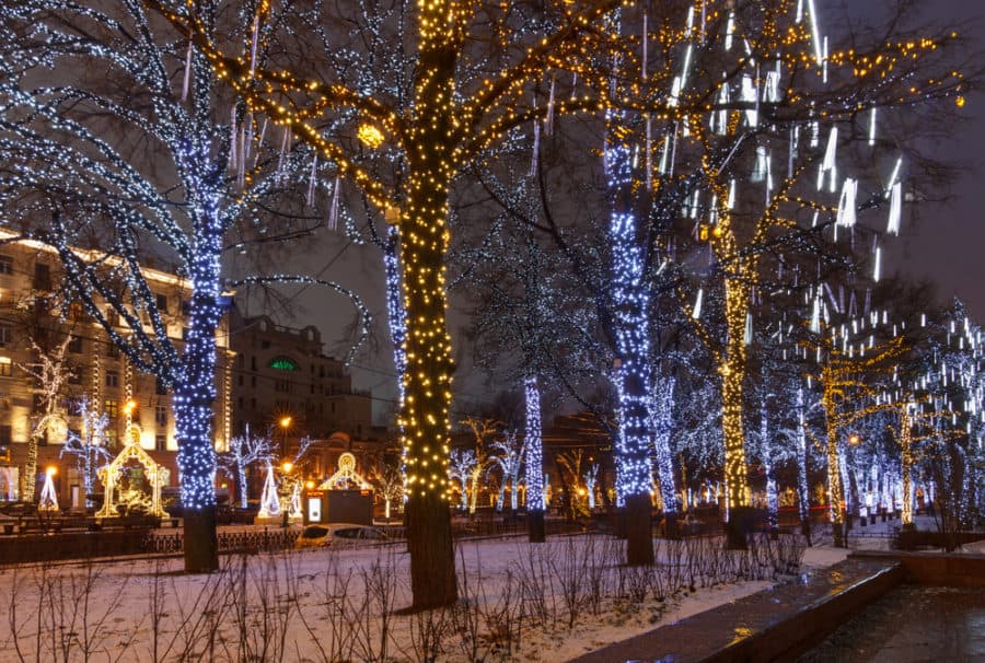 rope light around tree