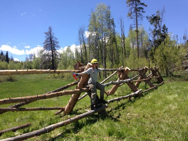 building a buck and rail fence