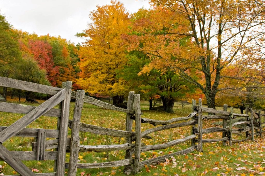 rustic horse fence idea rustic horse fence idea